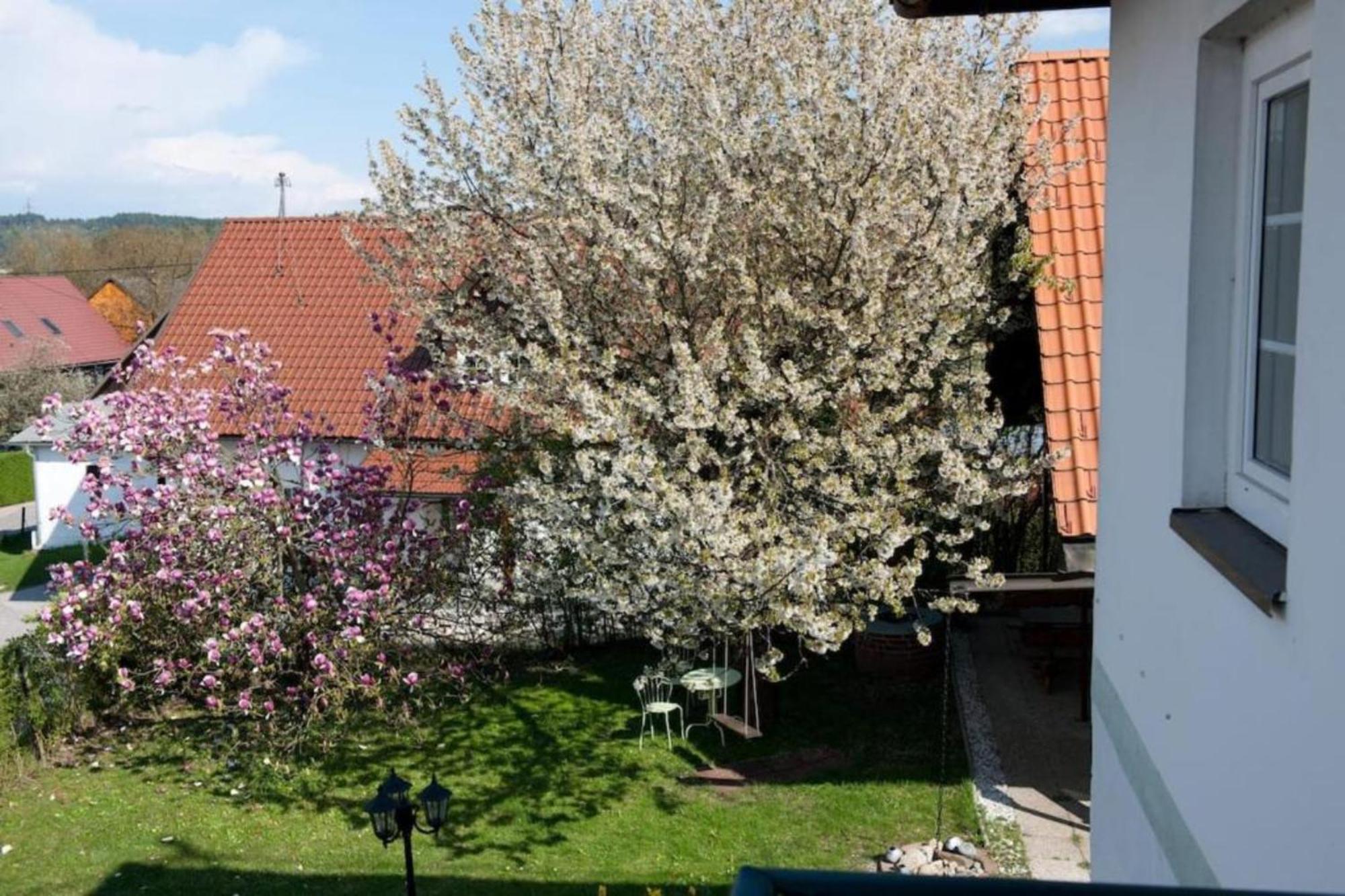 Urlaubsapartment Am Silbersee Филах Екстериор снимка